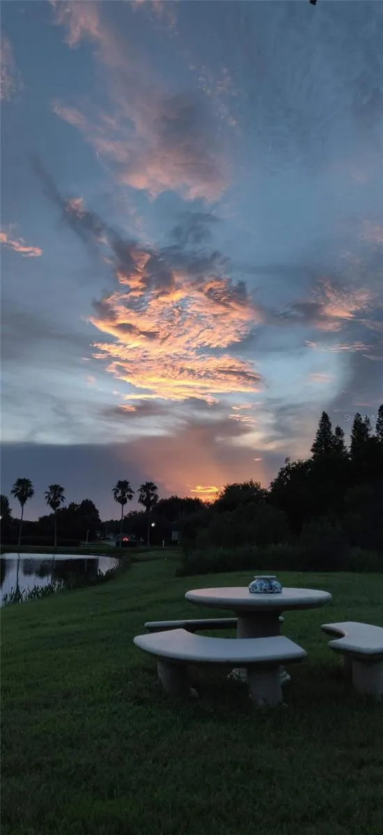 10503 PALM COVE AVENUE Tampa, FL 33647