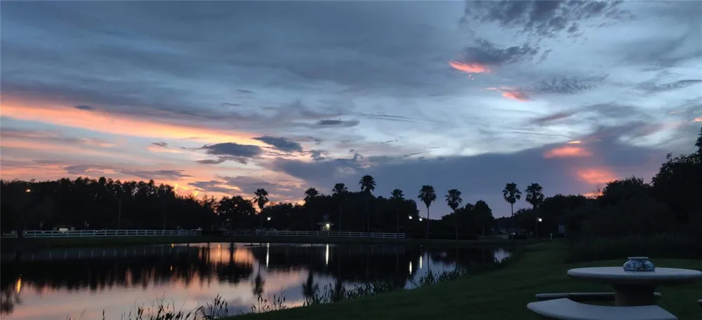 10503 PALM COVE AVENUE Tampa, FL 33647