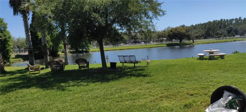 10503 PALM COVE AVENUE Tampa, FL 33647