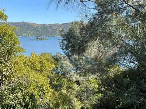 8452 Soda Bay Road