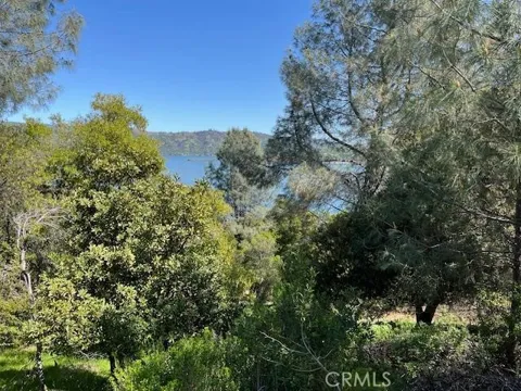 8444 Soda Bay Road