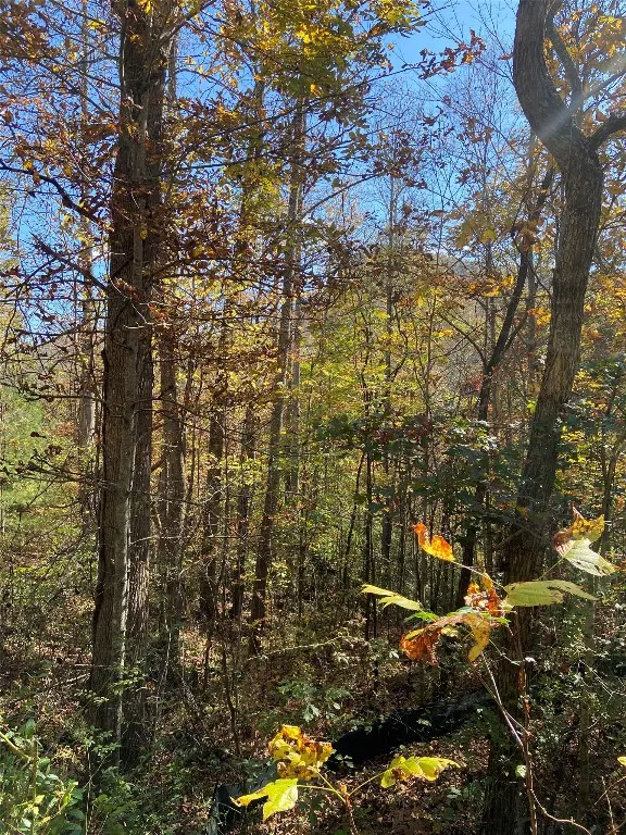 8B/9 Lowland Glade Tuckasegee, NC 28783