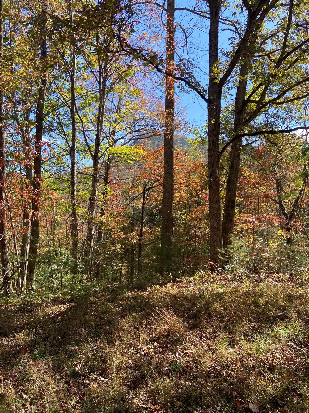 8B/9 Lowland Glade Tuckasegee, NC 28783