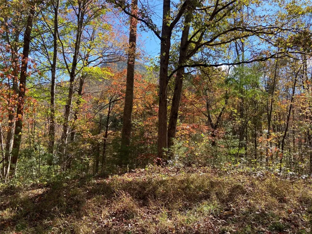8B/9 Lowland Glade Tuckasegee, NC 28783