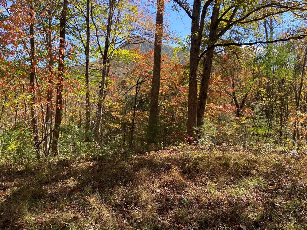8B/9 Lowland Glade Tuckasegee, NC 28783
