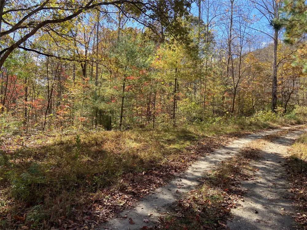 8B/9 Lowland Glade Tuckasegee, NC 28783