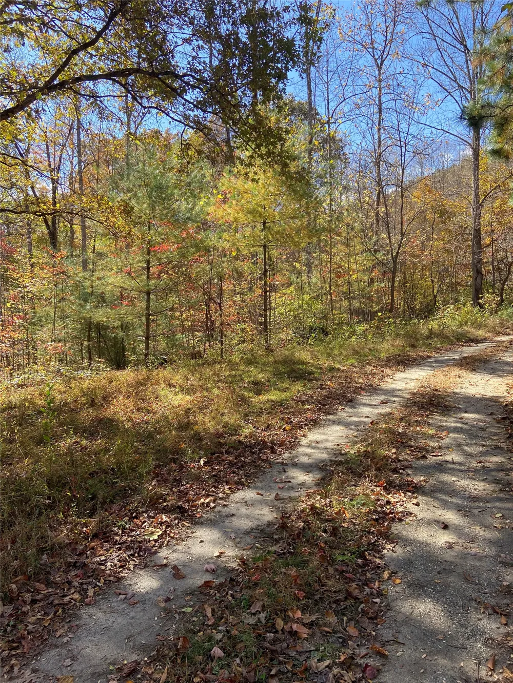 8B/9 Lowland Glade Tuckasegee, NC 28783