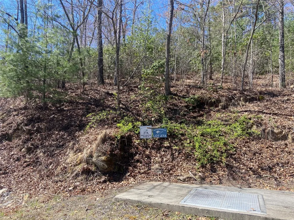27A Mayfly Tuckasegee, NC 28783