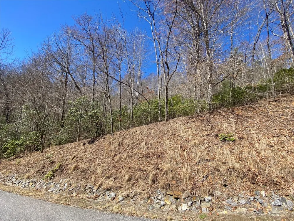 27A Mayfly Tuckasegee, NC 28783