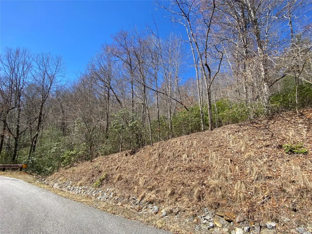 27A Mayfly Tuckasegee, NC 28783