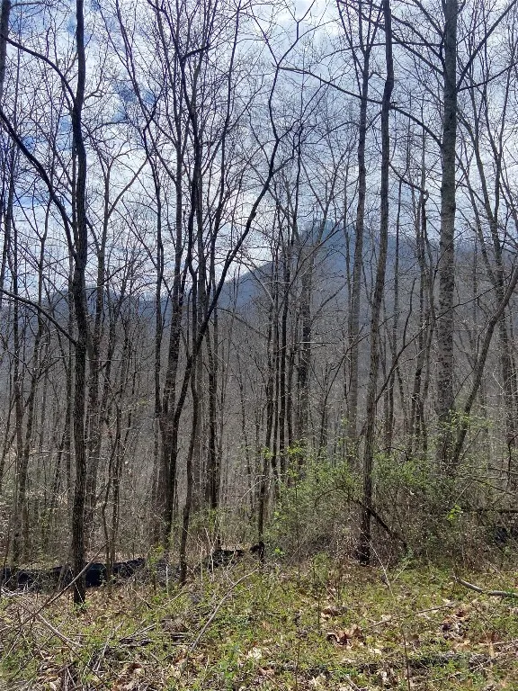 27A Mayfly Tuckasegee, NC 28783
