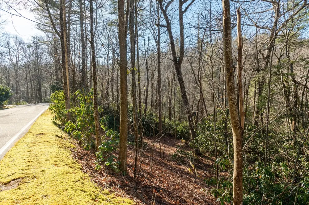 Lot 8R River Overlook Road Sapphire, NC 28774