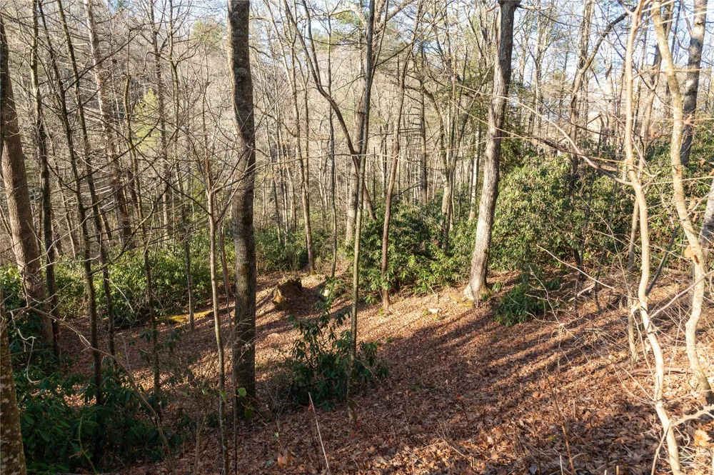 Lot 8R River Overlook Road Sapphire, NC 28774