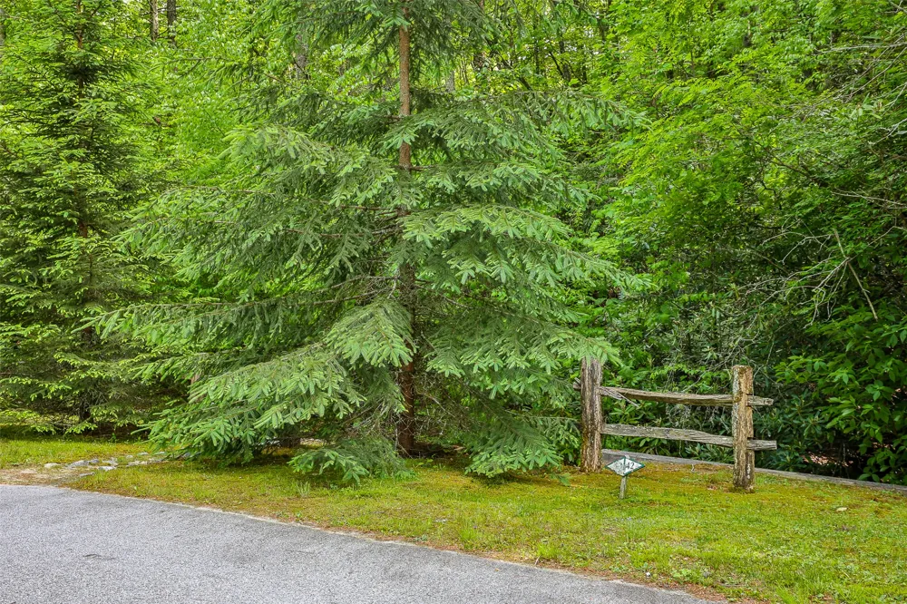 43 Ledgeview Road Cashiers, NC 28717