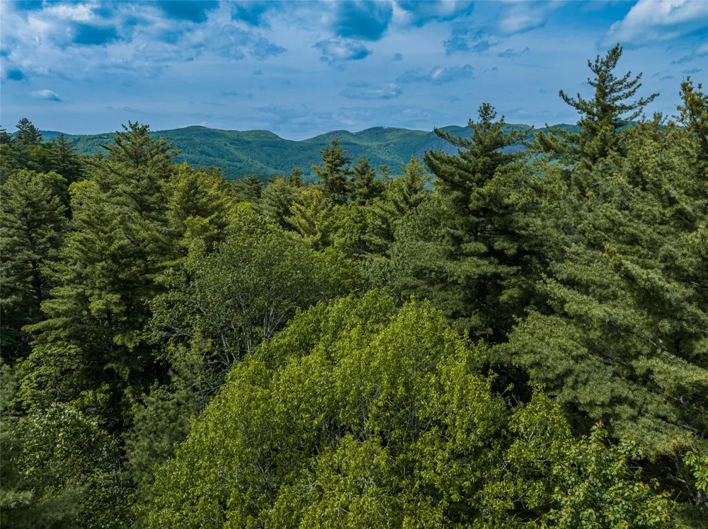 43 Ledgeview Road Cashiers, NC 28717