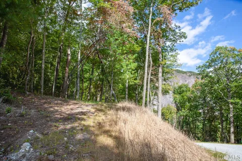 Lot 156 Lonesome Valley
