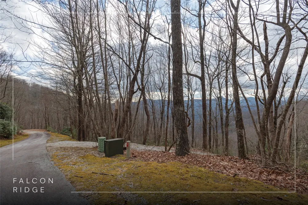 12/12A Trussing Terrace Sapphire, NC 28774