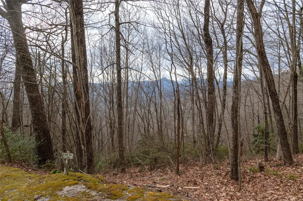 12/12A Trussing Terrace Sapphire, NC 28774