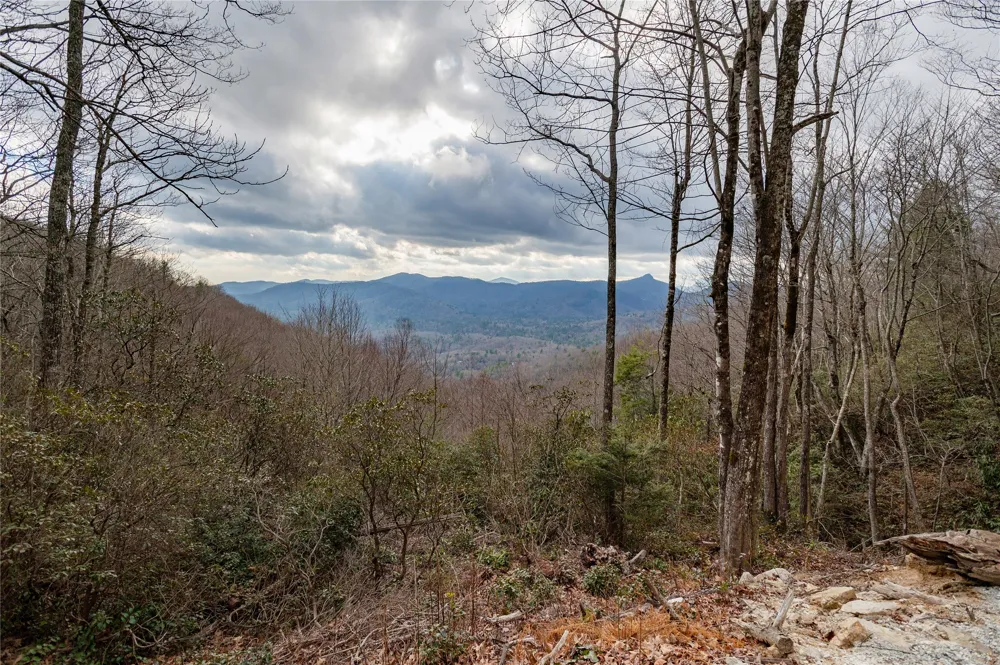 12/12A Trussing Terrace Sapphire, NC 28774
