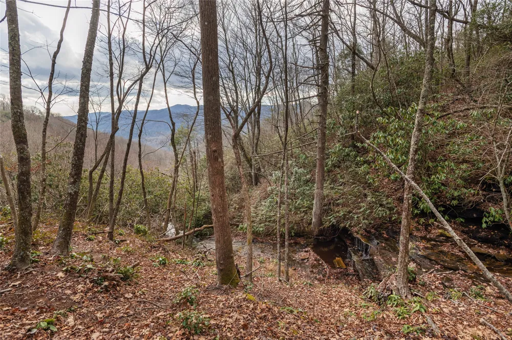 12/12A Trussing Terrace Sapphire, NC 28774