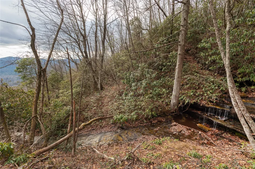 12/12A Trussing Terrace Sapphire, NC 28774