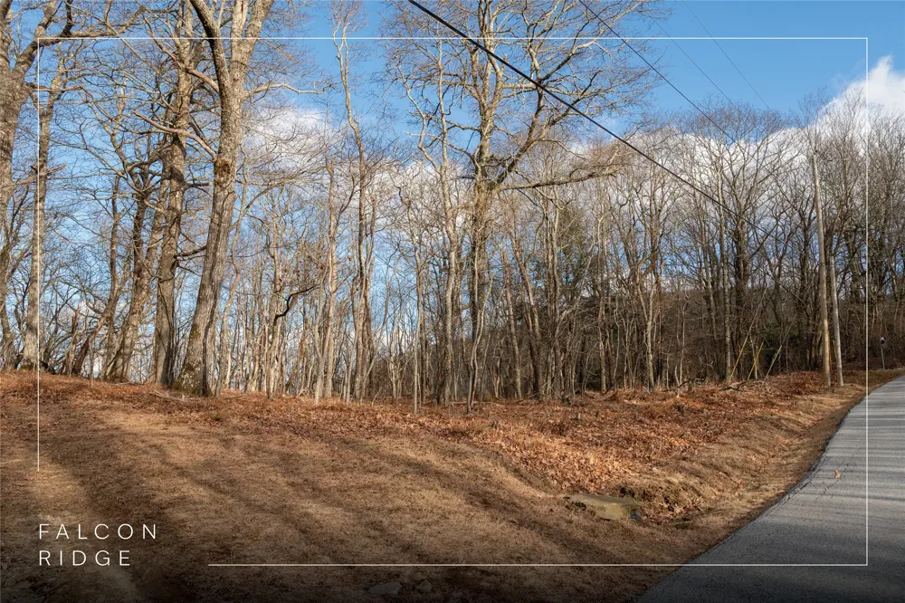 Lot 51 Tower Road Sapphire, NC 28774