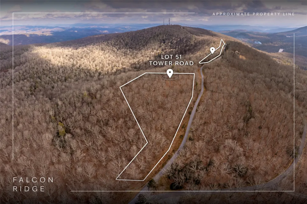 Lot 51 Tower Road Sapphire, NC 28774