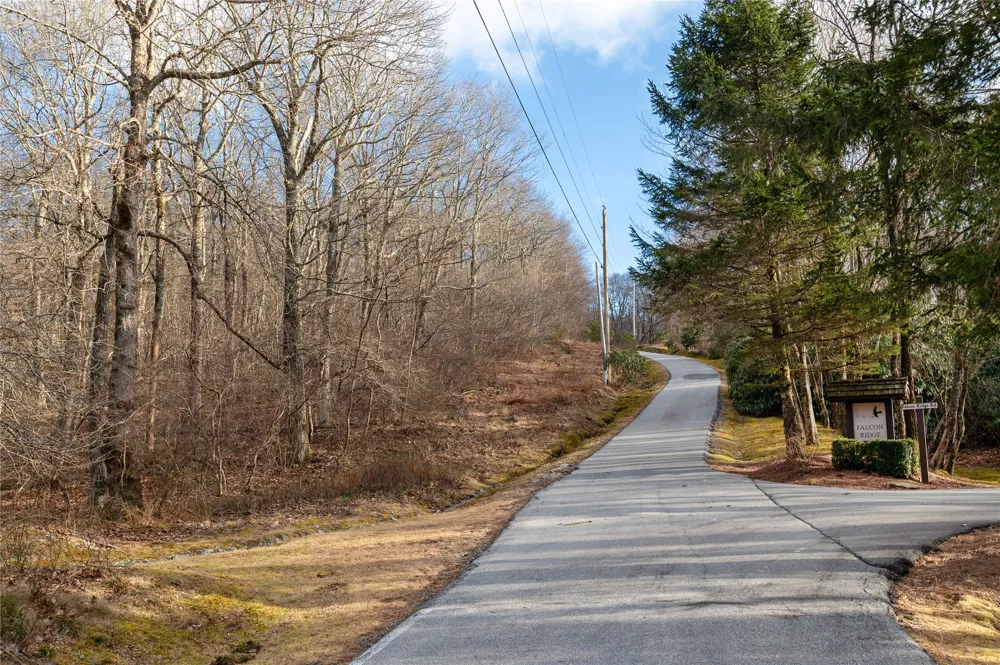 Lot 51 Tower Road Sapphire, NC 28774