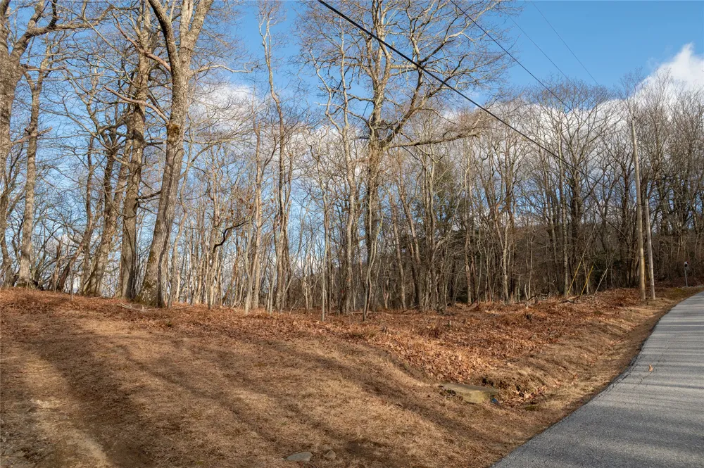 Lot 51 Tower Road Sapphire, NC 28774