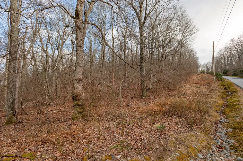Lot 51 Tower Road Sapphire, NC 28774