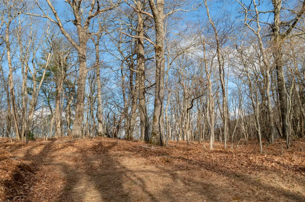 Lot 51 Tower Road Sapphire, NC 28774