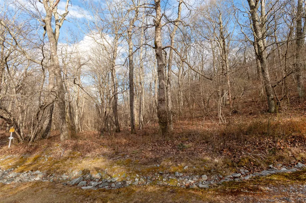 Lot 51 Tower Road Sapphire, NC 28774