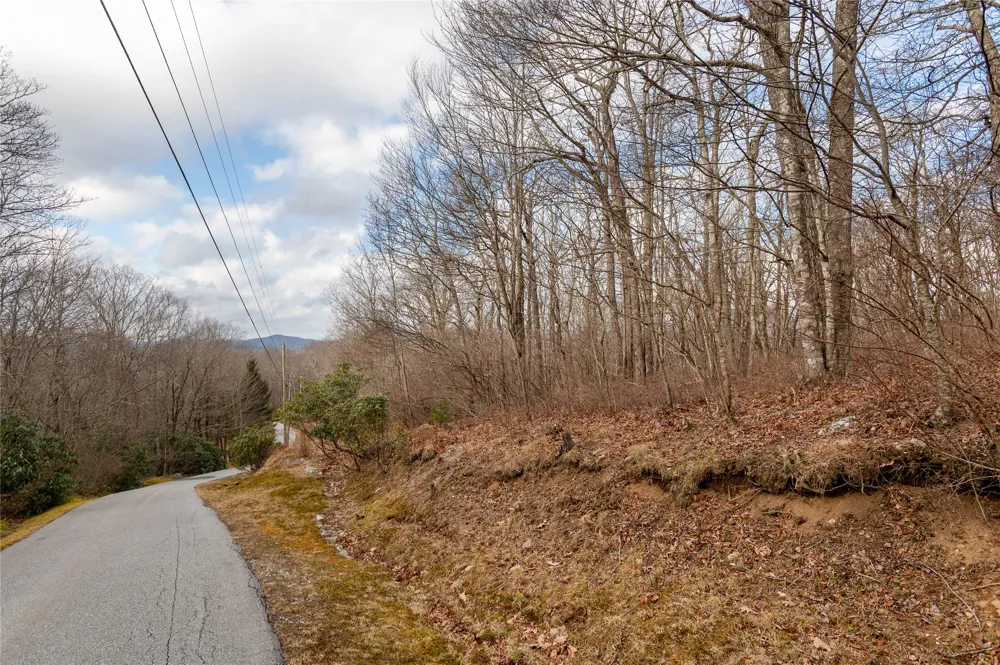 Lot 51 Tower Road Sapphire, NC 28774
