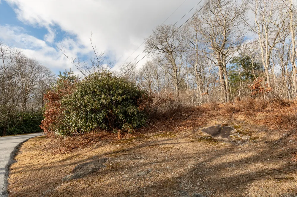 Lot 51 Tower Road Sapphire, NC 28774