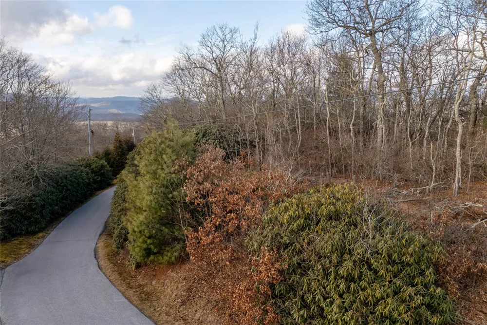 Lot 51 Tower Road Sapphire, NC 28774