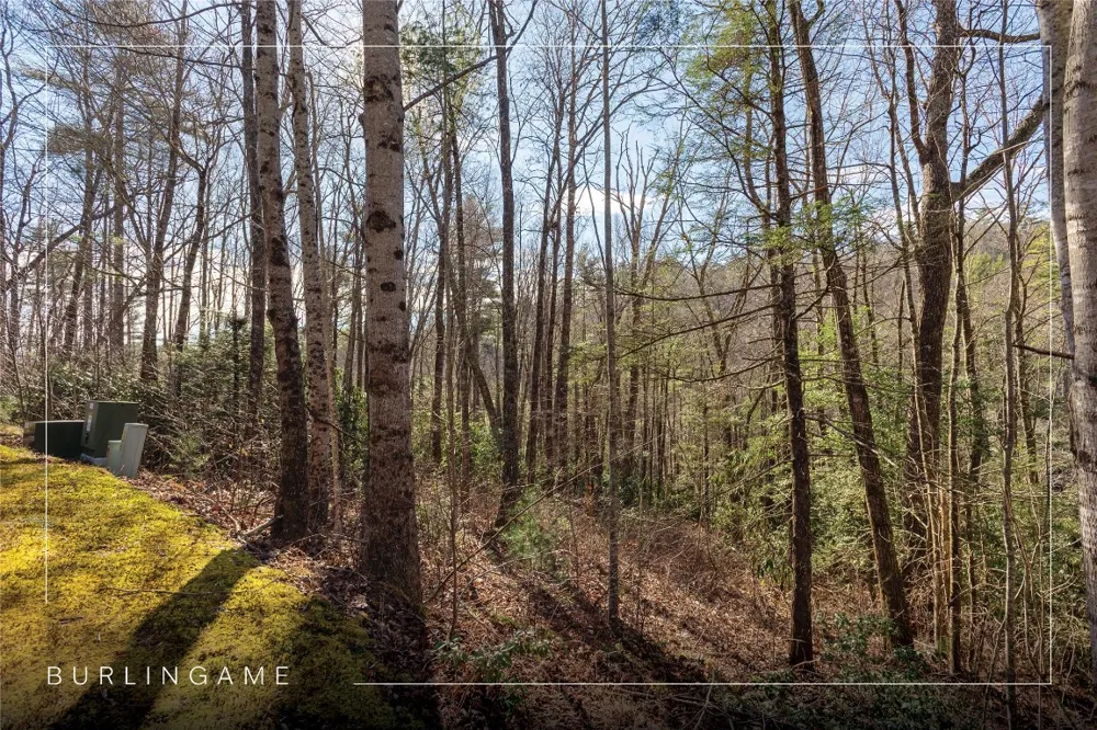 Lot 3 Turkey Roost Road Sapphire, NC 28774