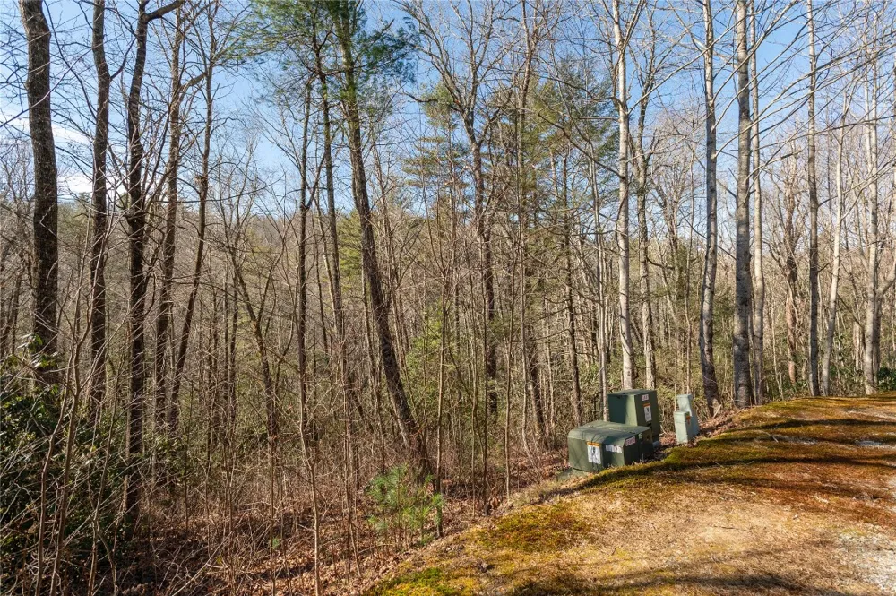 Lot 3 Turkey Roost Road Sapphire, NC 28774