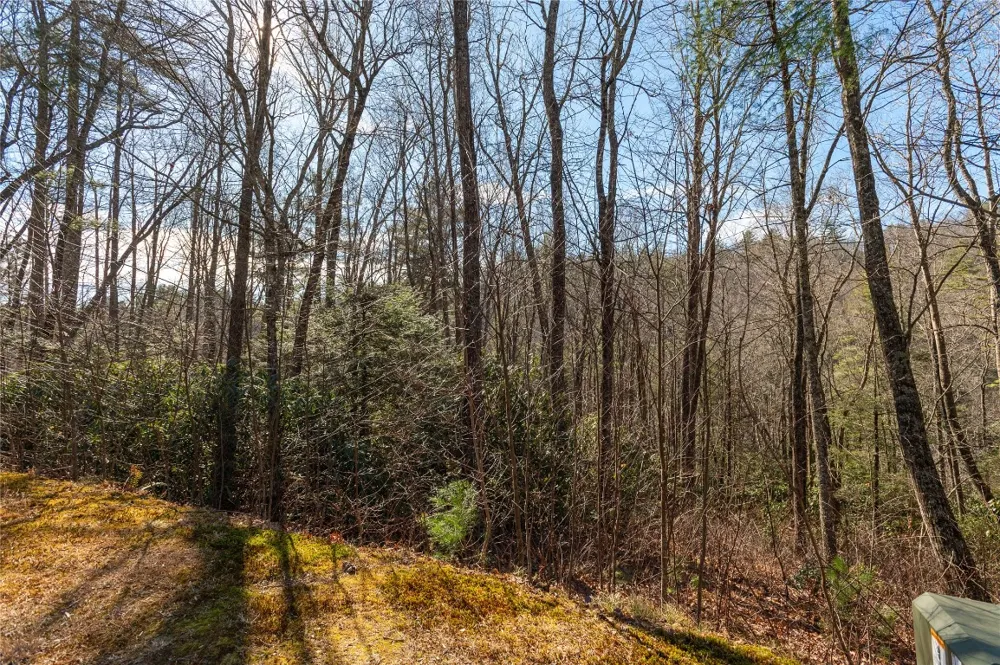 Lot 3 Turkey Roost Road Sapphire, NC 28774
