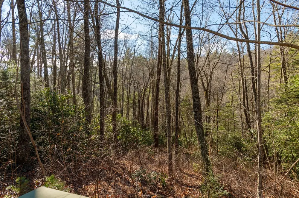 Lot 3 Turkey Roost Road Sapphire, NC 28774