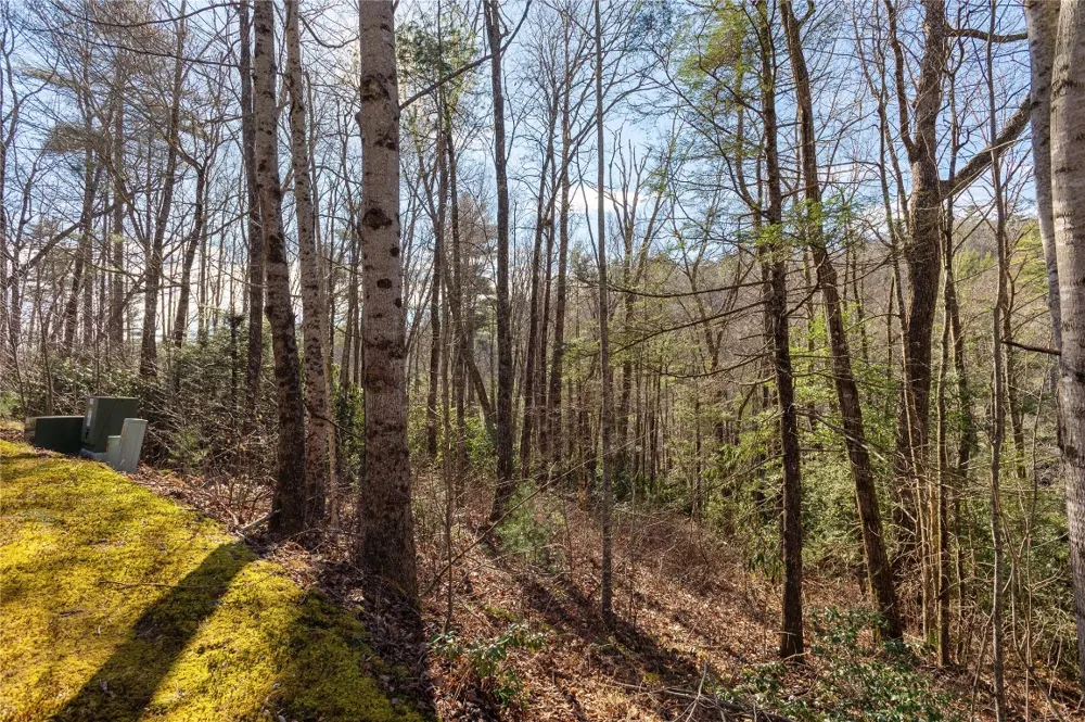Lot 3 Turkey Roost Road Sapphire, NC 28774