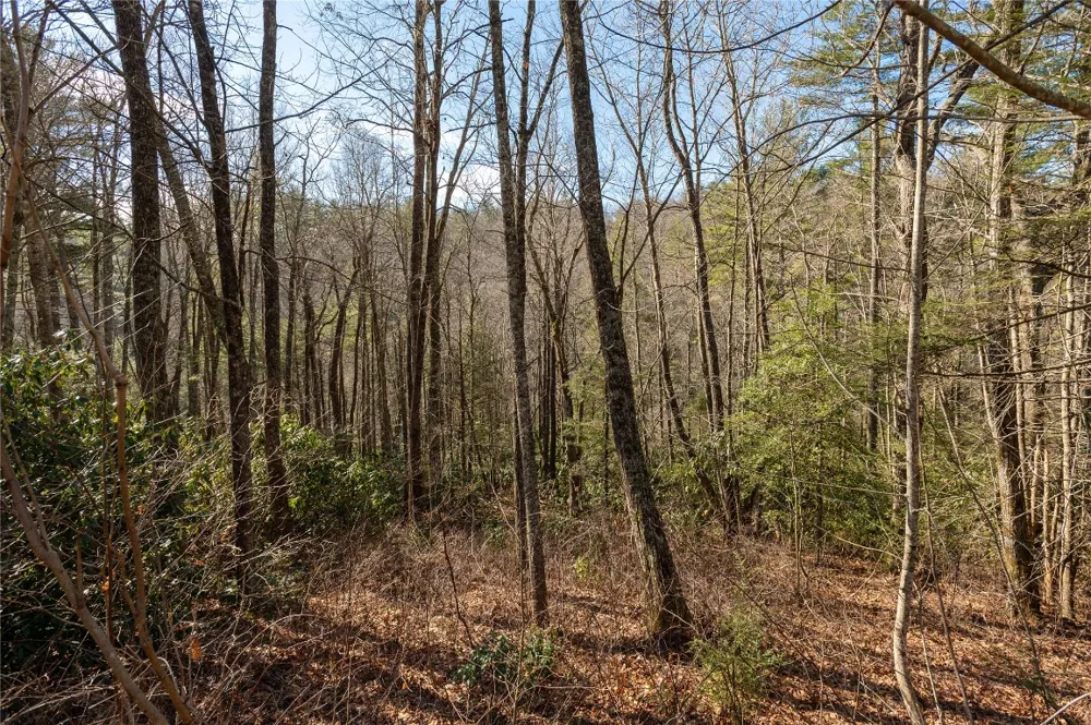 Lot 3 Turkey Roost Road Sapphire, NC 28774