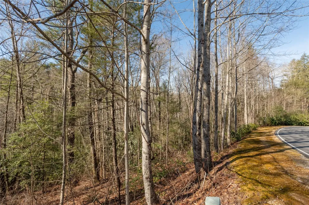Lot 3 Turkey Roost Road Sapphire, NC 28774
