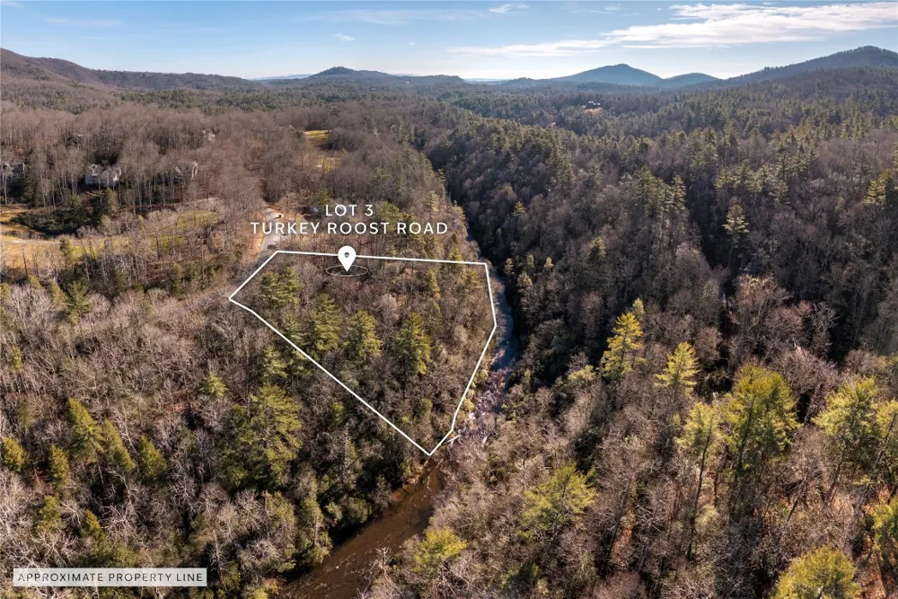 Lot 3 Turkey Roost Road Sapphire, NC 28774