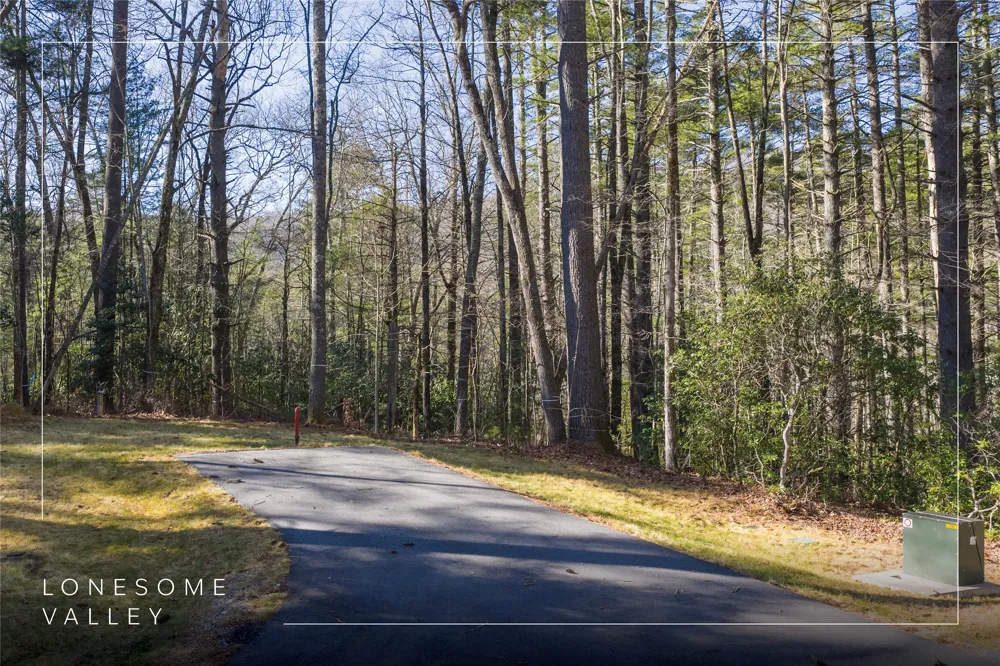 172 Lonesome Valley Road Sapphire, NC 28774