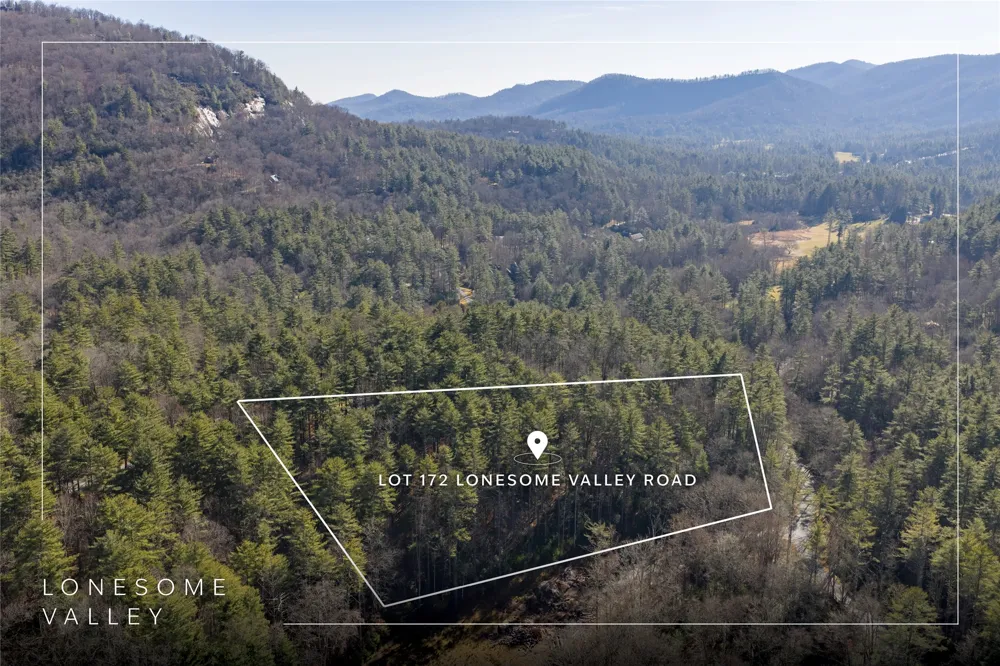 172 Lonesome Valley Road Sapphire, NC 28774