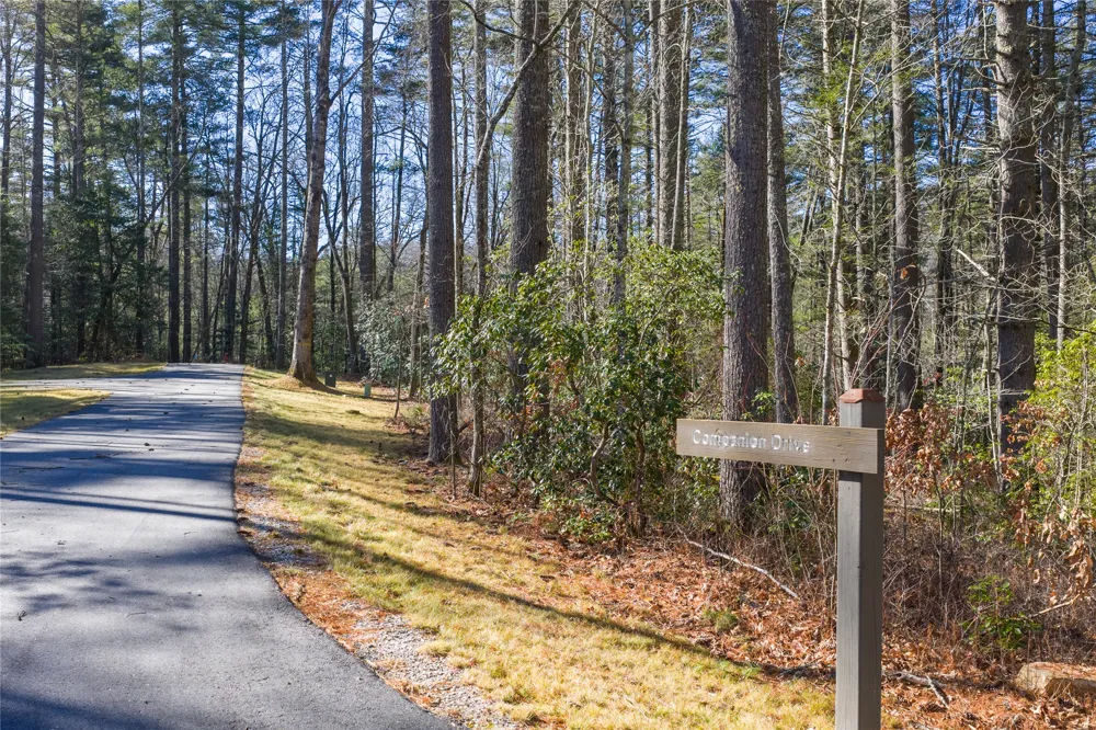 172 Lonesome Valley Road Sapphire, NC 28774