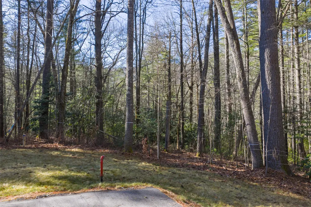 172 Lonesome Valley Road Sapphire, NC 28774