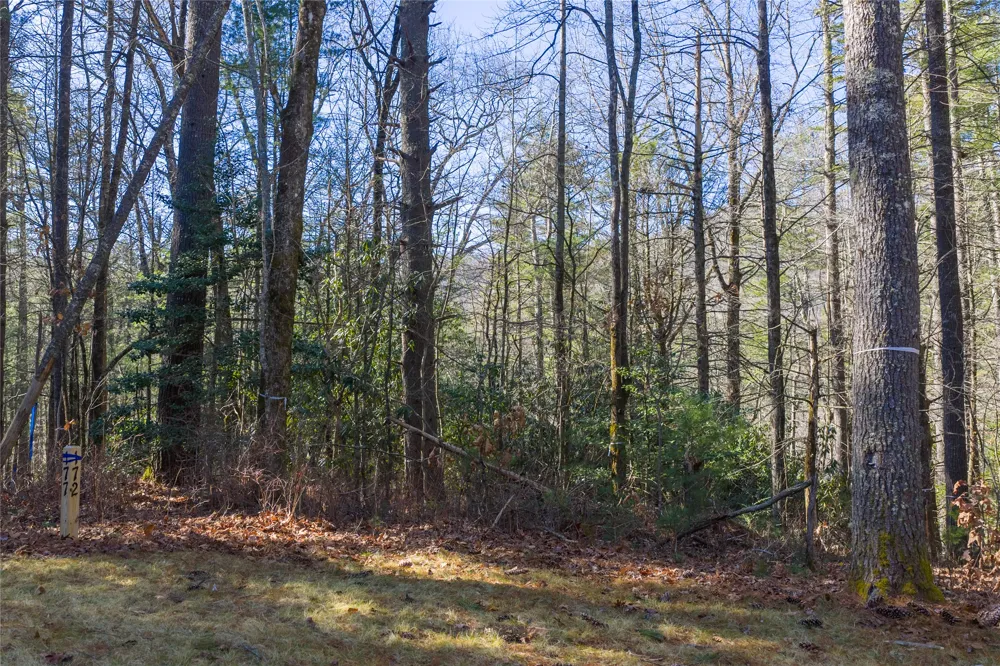 172 Lonesome Valley Road Sapphire, NC 28774