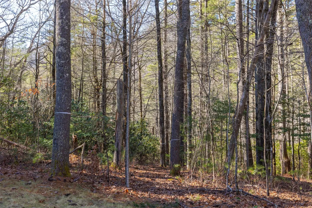 172 Lonesome Valley Road Sapphire, NC 28774