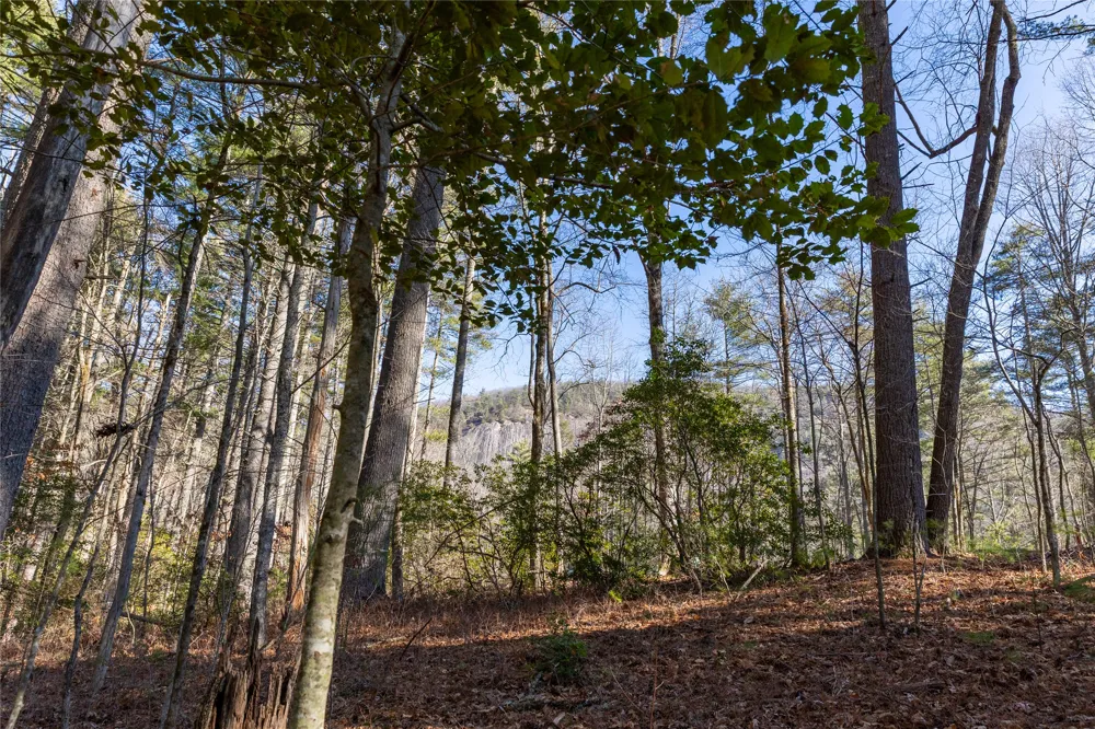 172 Lonesome Valley Road Sapphire, NC 28774